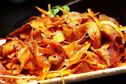 豪哥野生菌牦牛肉土鸡汤锅火锅(康定老城店)