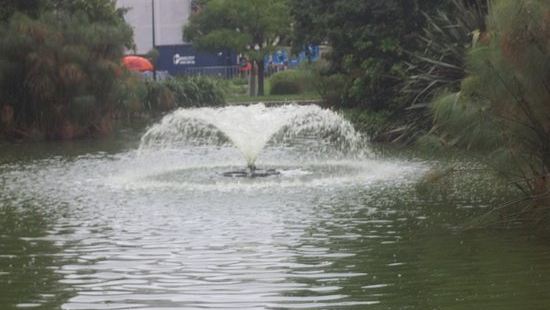 卡爾頓花園（Carlton Garden）也是墨爾本市內一個