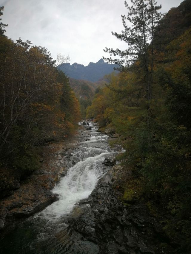 黃柏原