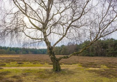 l'Arche de la Nature