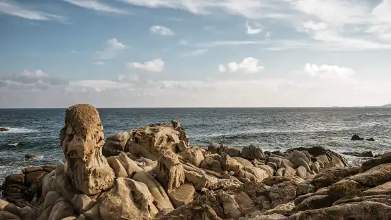 Departing from Cape Town, South Africa: Cape of Good Hope + Penguin Island 1-day tour (8–15 people small group)