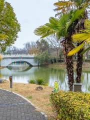 Fenghuang Mountain Park