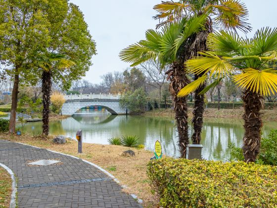 펑황산 공원