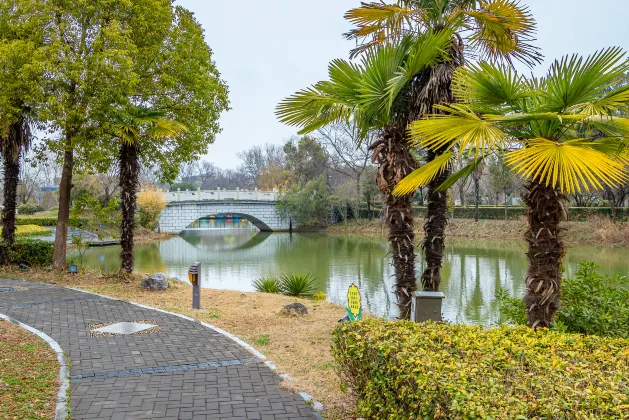 Voli Tangshan San Francisco