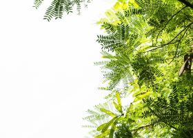 從台北直飛沖繩航班