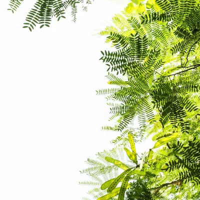 Виллы в г. Онна