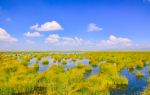 Guomang Wetland