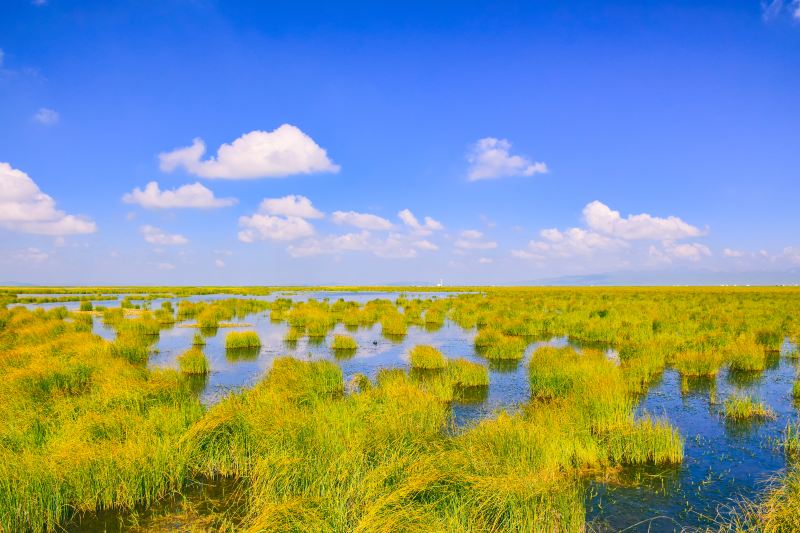 Guomang Wetland
