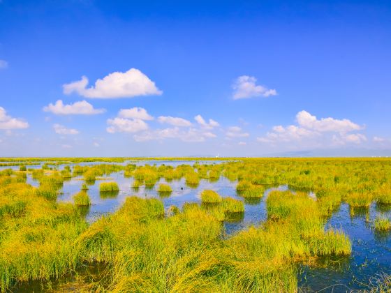 Guomang Wetland