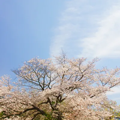 四季賓館