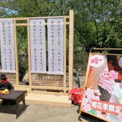 無邪張用戶圖片