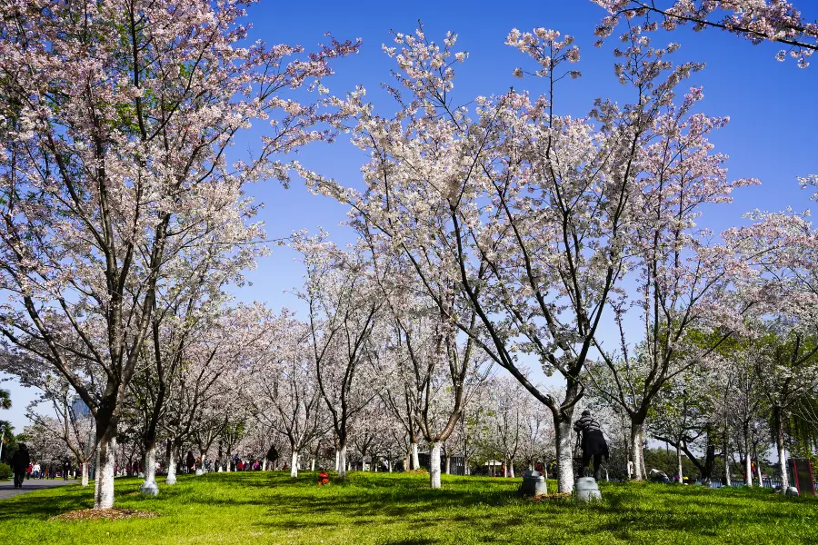 牌坊公園