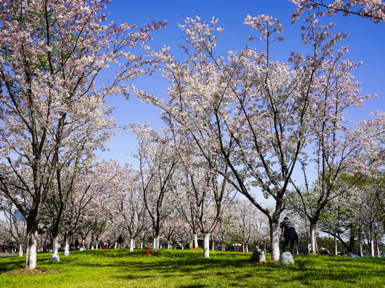 牌坊公園