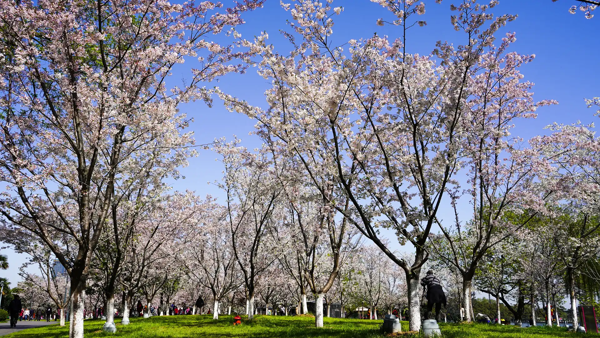 鄰近牌坊公園的酒店