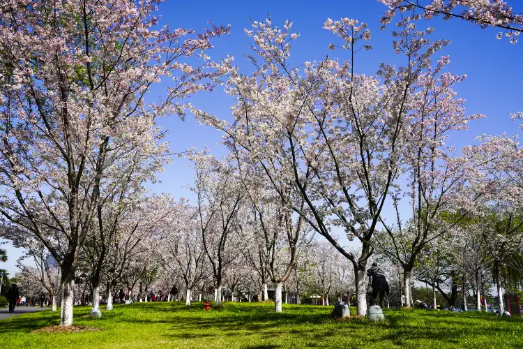 Hotels near Paifang Park