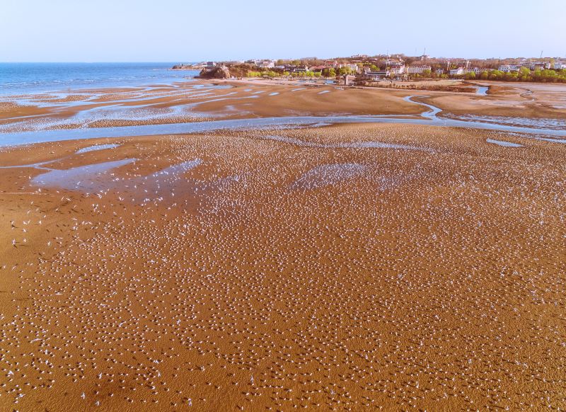 海洋世界海之中道