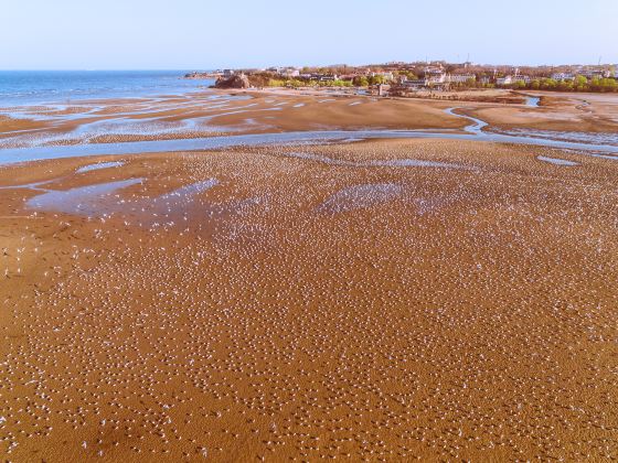 海洋世界海之中道