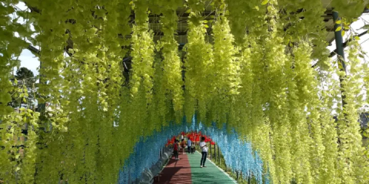 寧都縣綠蕾生態農莊