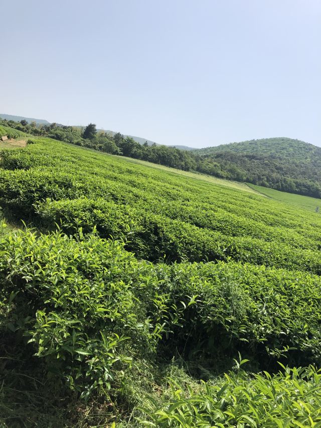 룽츠산(용지산) 자전거 공원