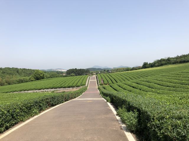 룽츠산(용지산) 자전거 공원