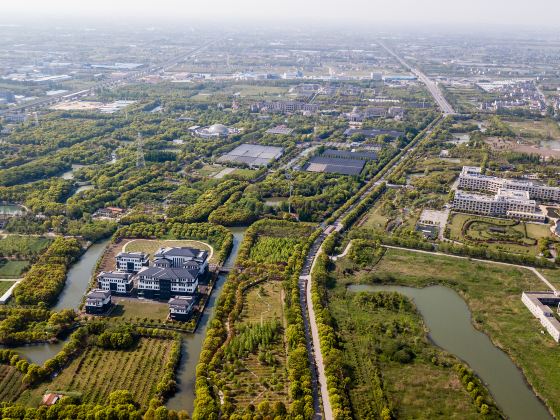 Taicang Modern Agriculture Park