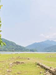 羅坑大草原