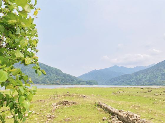 羅坑草原