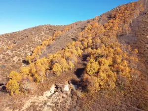Ma'an Mountain Scenic Area