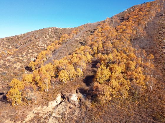 馬鞍山景區