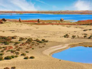 Ancient Juyan Lake Scenic Area