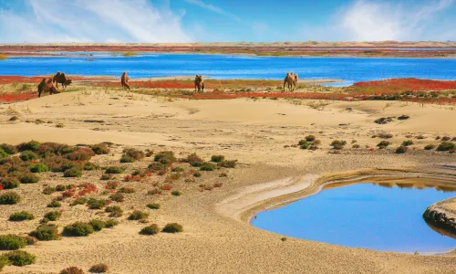 Ancient Juyan Lake Scenic Area