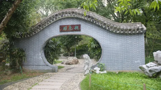 Wenzhou Jingshan Forest Park