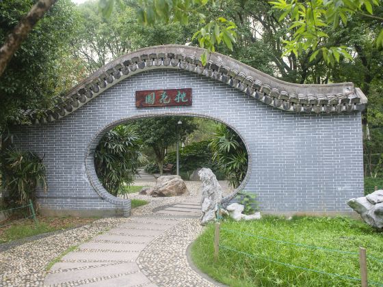 Wenzhou Jingshan Forest Park