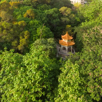 Номер с видом на горы Отели в г. Шаньтоу