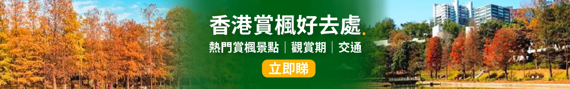 紅葉🍁│2024 香港紅葉，打卡、郊遊 6 個賞楓好去處