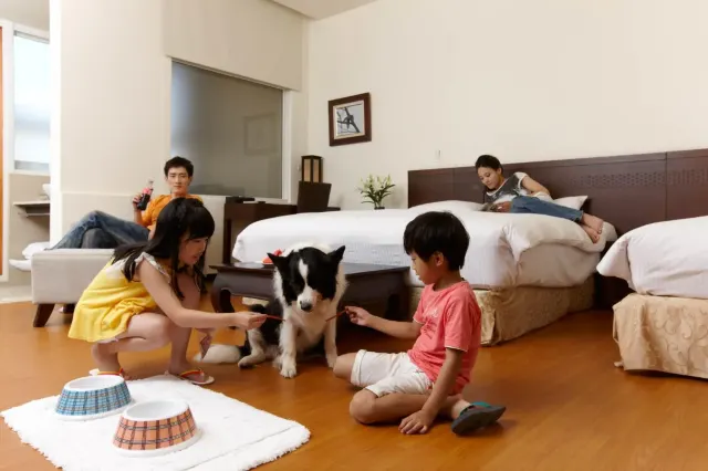 【寵物友善住宿】全台寵物友善飯店推薦!與毛小孩同住一房不是夢