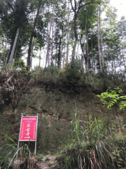 Pangu Temple