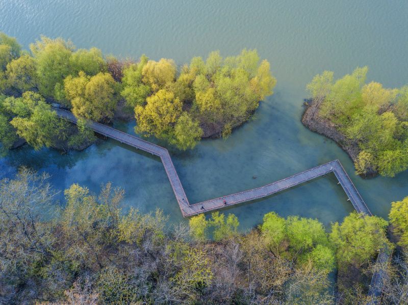 柳樹灣風景區