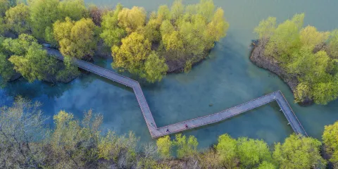 柳樹灣風景區