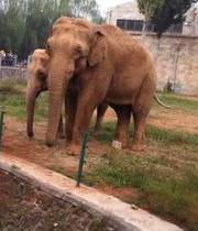 響水縣動物園