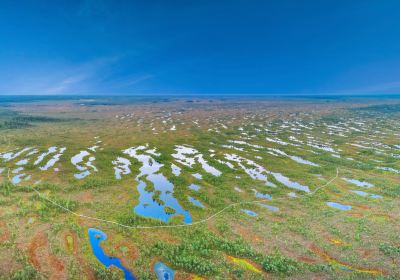 Parc national de Ķemeri