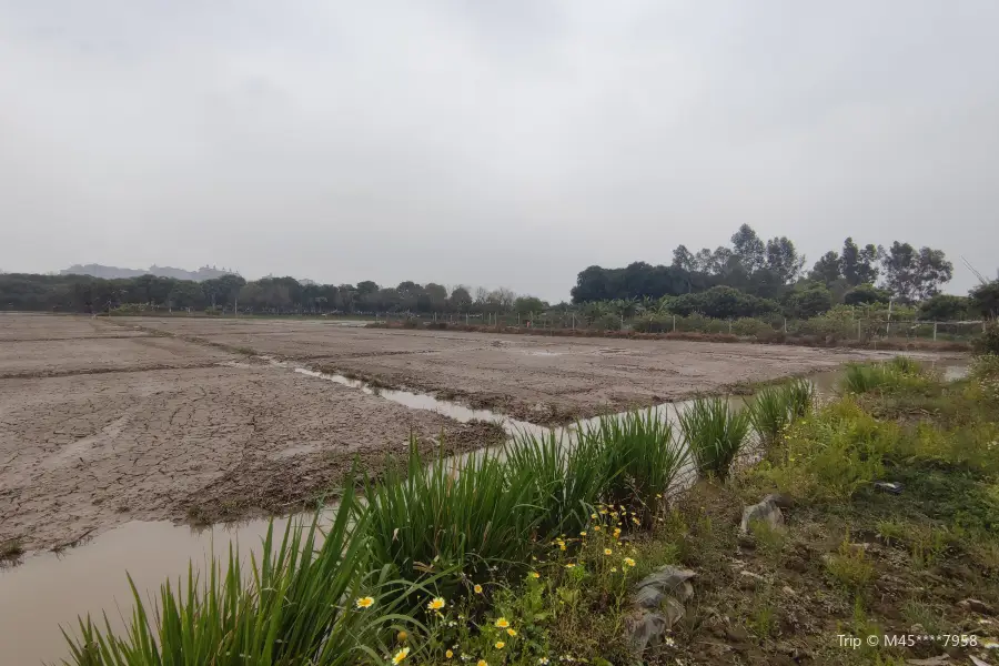 Caohe Wetland Park