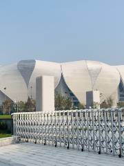 Центр Олимпийских игр