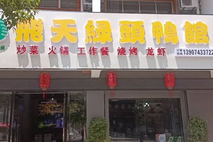 飞天绿头鸭馆