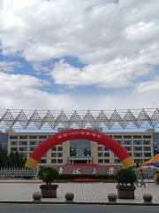 Qinghai University