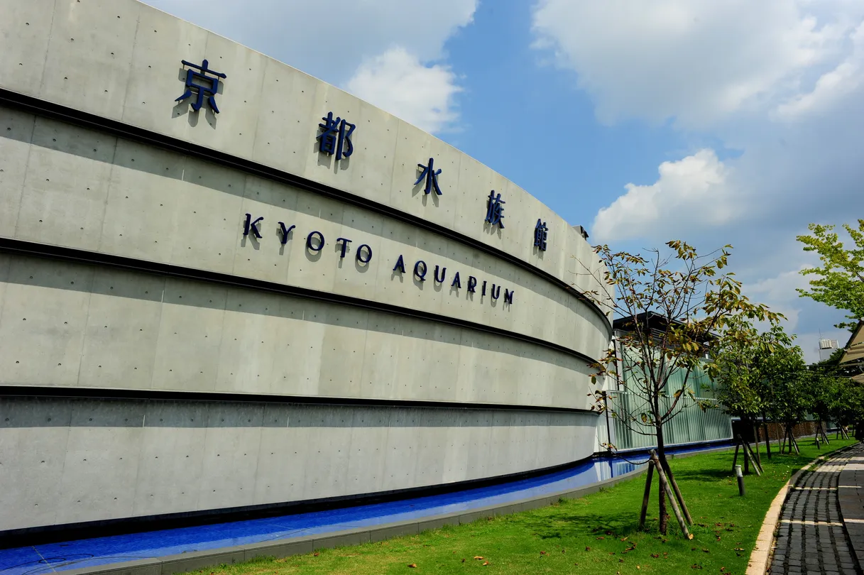 1_京都水族館
