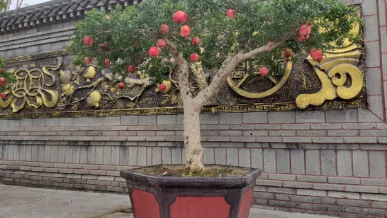 中華石榴博覽園