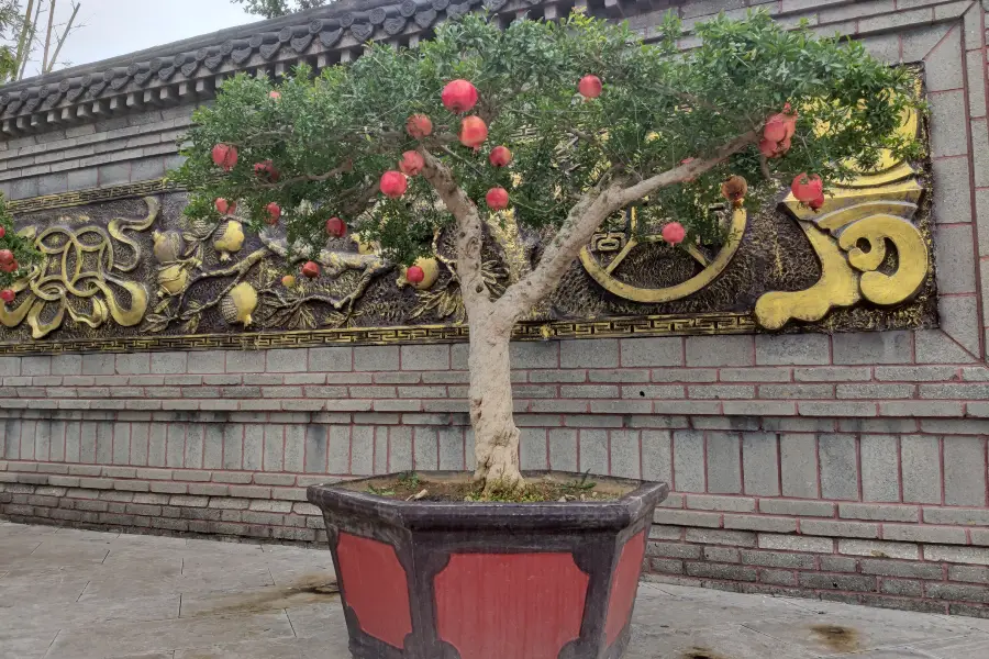 China Pomegranate Expo Park