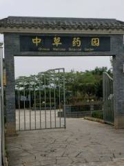 Chinese Herbal Medicine Garden of Guangxi Agricultural Vocational College