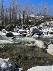 Manali Snow Point